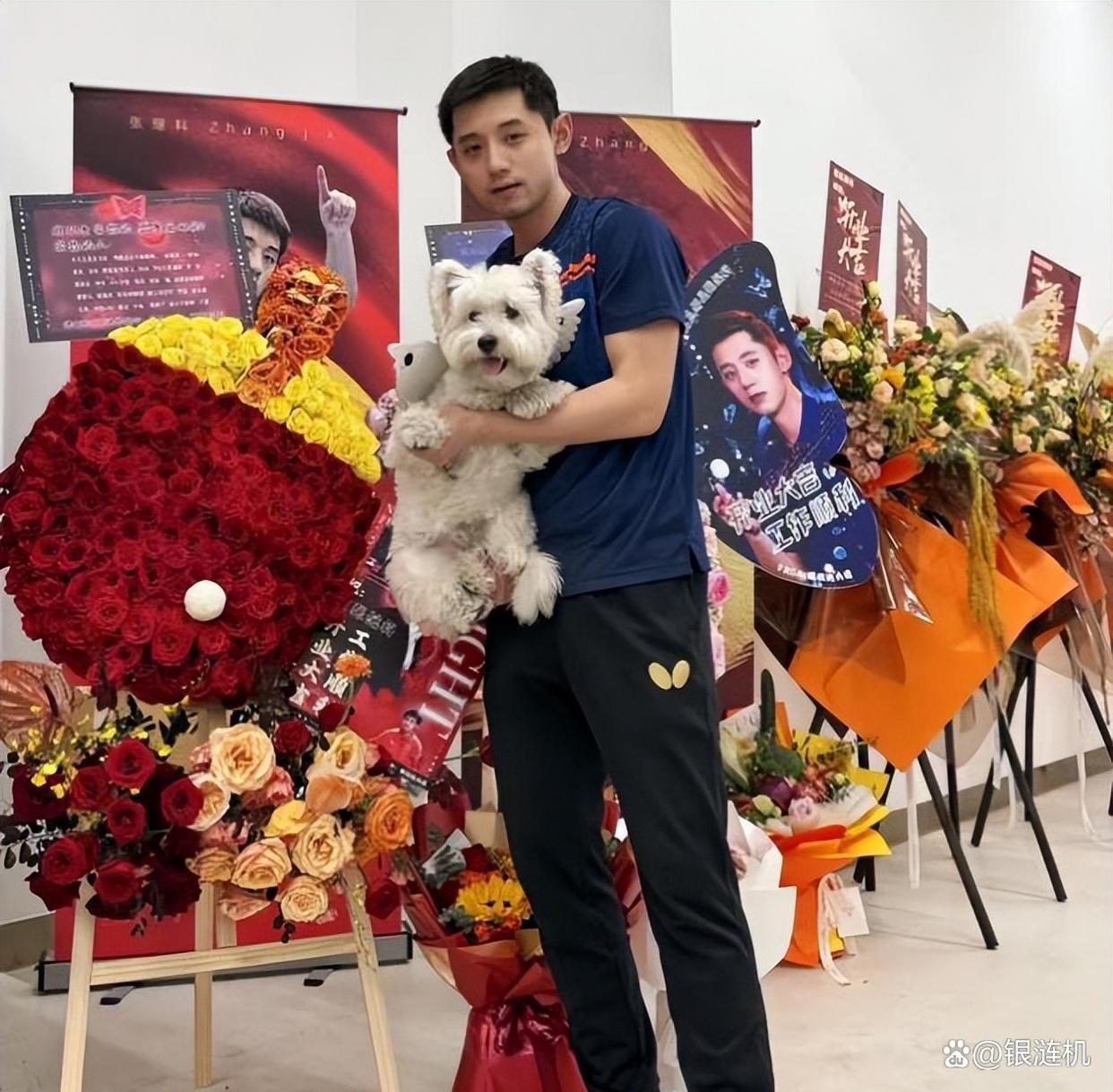 中国乒乓球队爆冷波兰乒乓球队,张继科绝境逆转 中国乒乓球队爆冷波兰乒乓球队,张继科绝境逆转