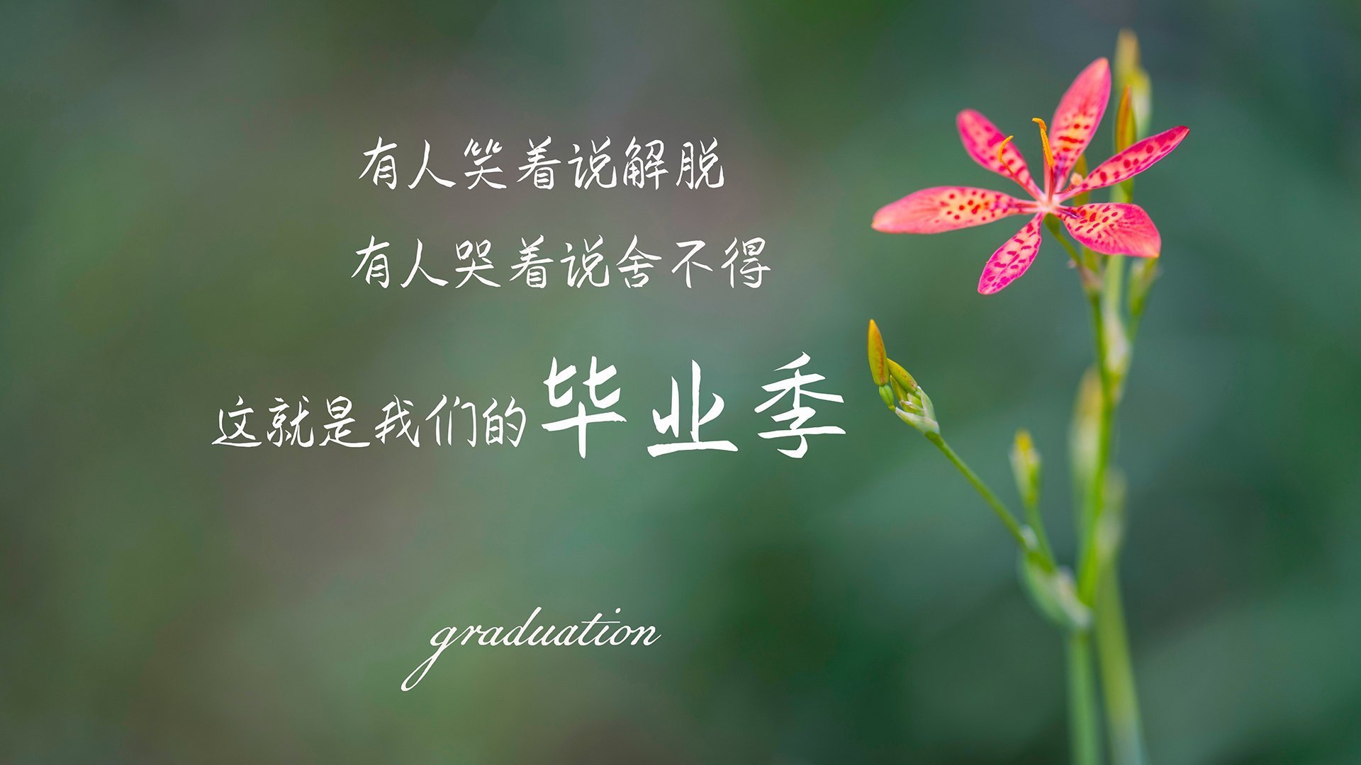 精密仪器摧毁血肉之躯,杜兰特完美逻辑下太阳的无情制霸