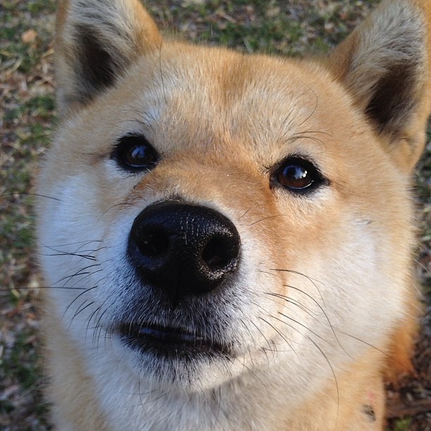 星辰逆转，哈登之夜，竞技之魂无疆界