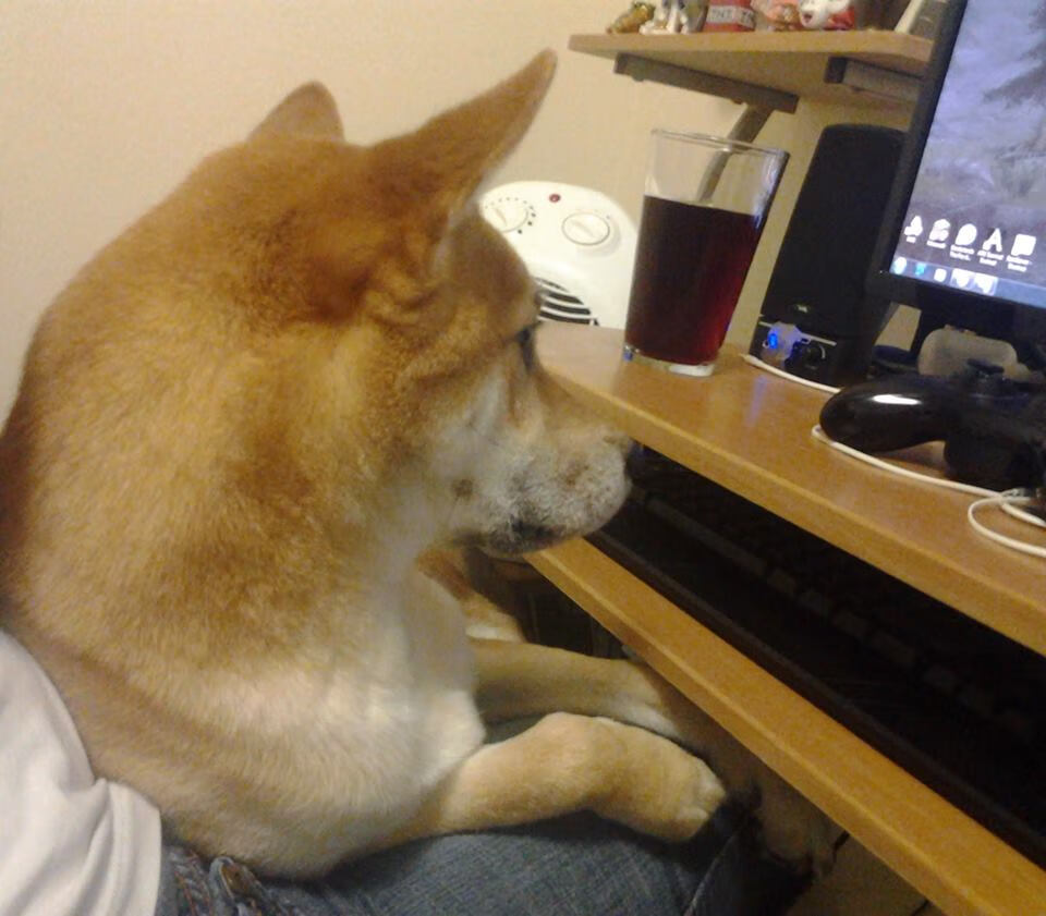 当克利夫兰骑士空降杭州体育馆，一场魔幻现实主义的抢七决战