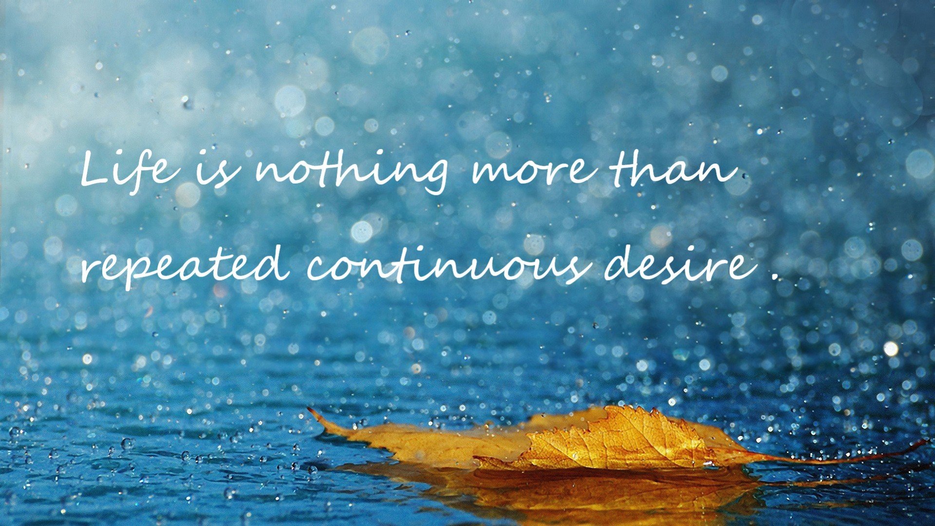 意甲焦点战与灰熊单节风暴，体育世界的双重奏