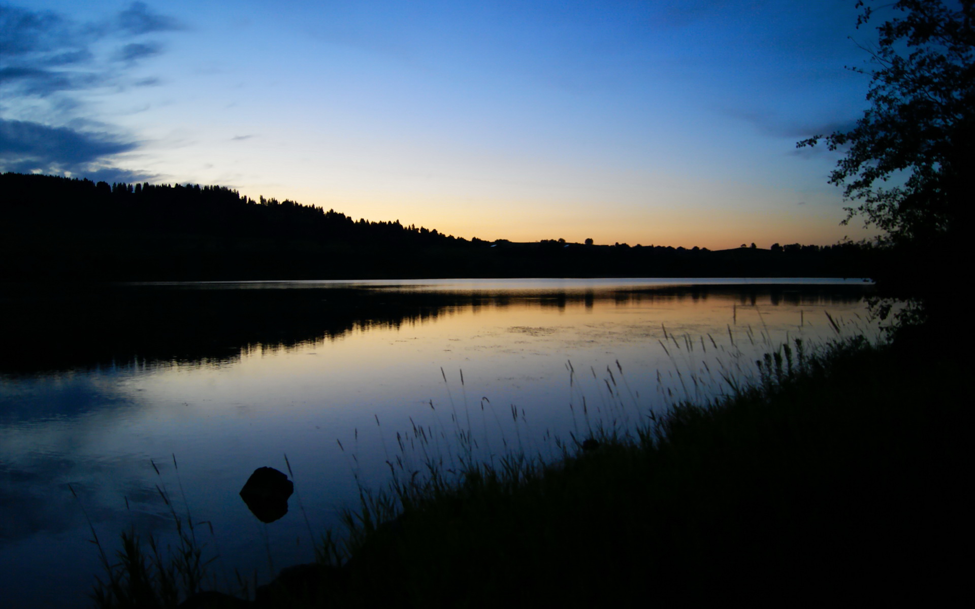 年度焦点之战之夜，英格拉姆，生于镁光灯下的篮球大艺术家