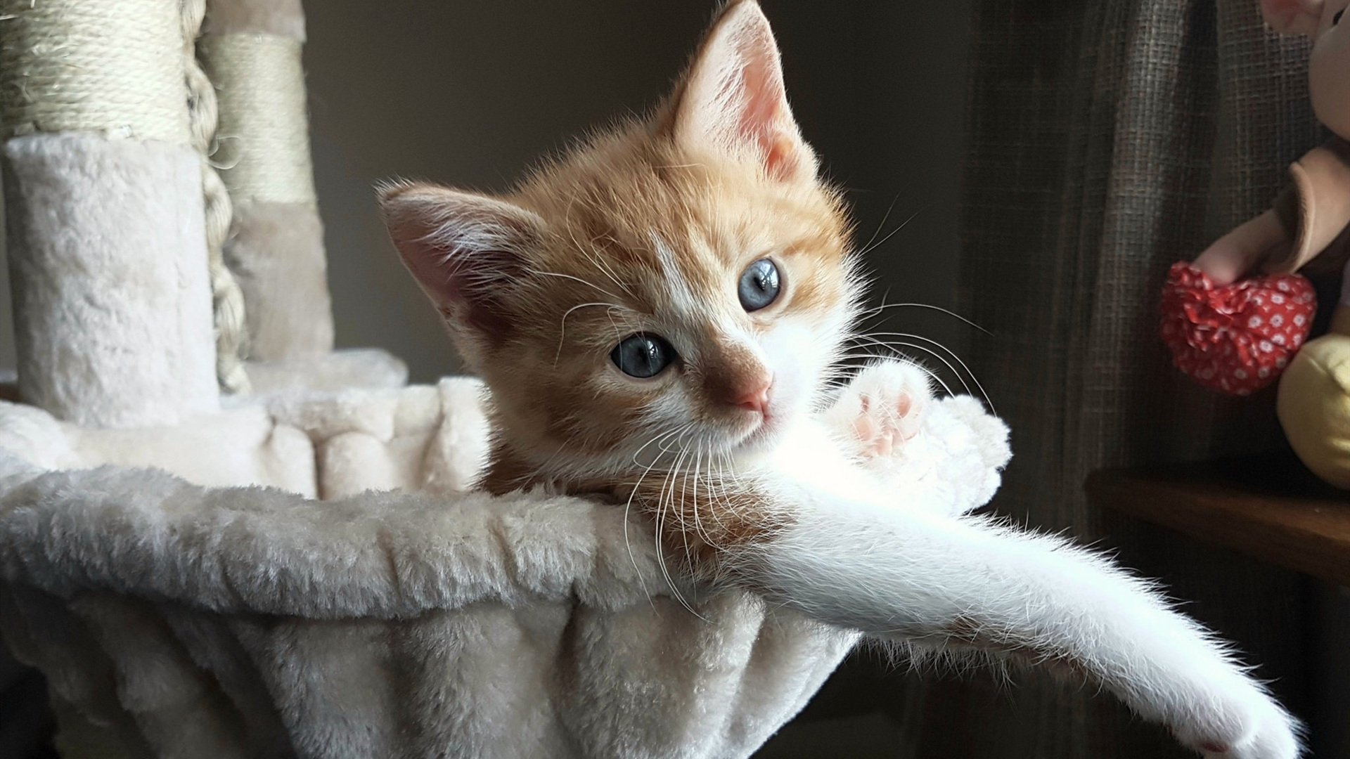 改写历史之夜，切特准绝杀勇士，接过未来权杖的一刻