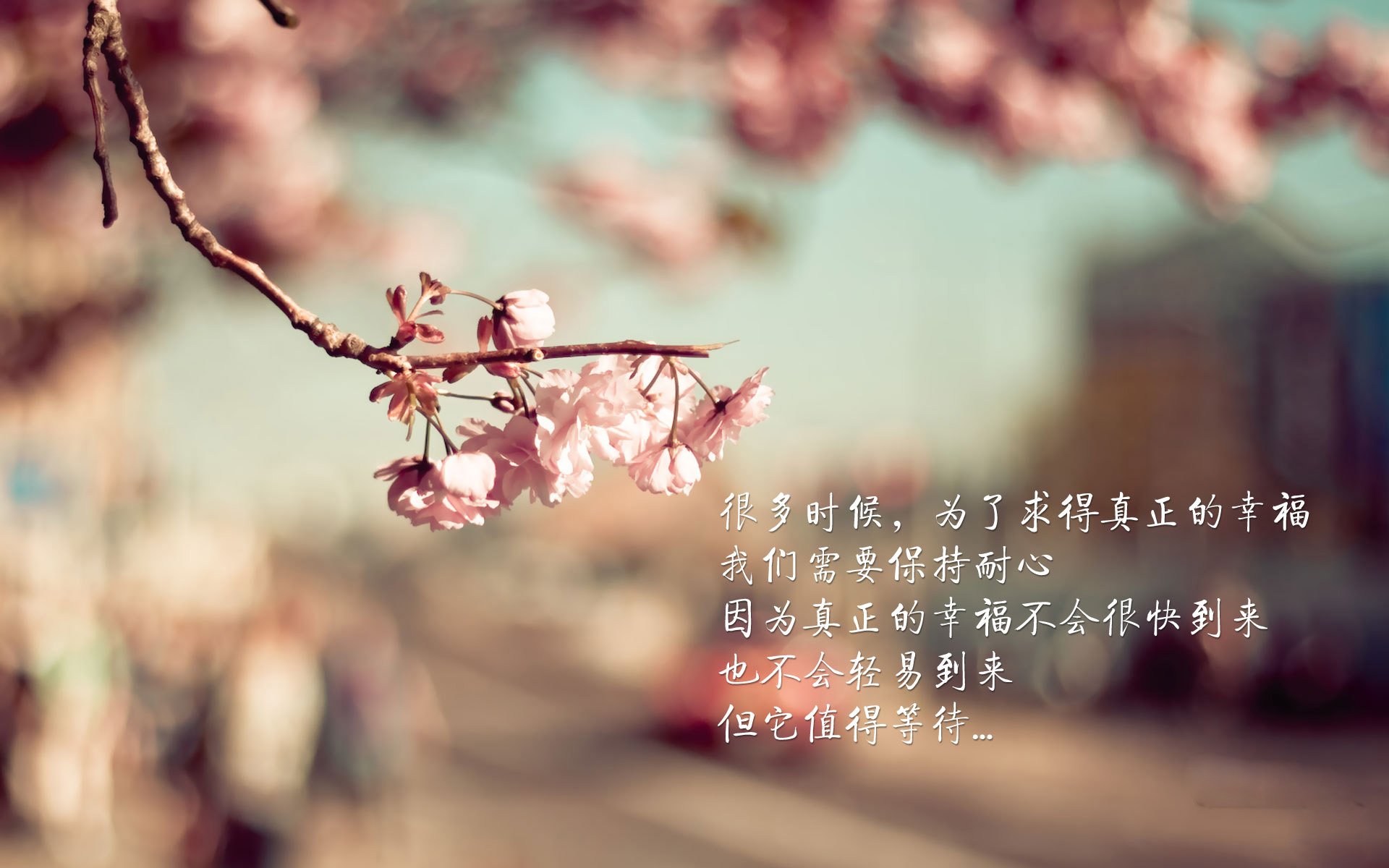 卡瓦哈尔斩杀神话怪物,阿根廷惊险过关,他才是潘帕斯雄鹰最稳的金锁