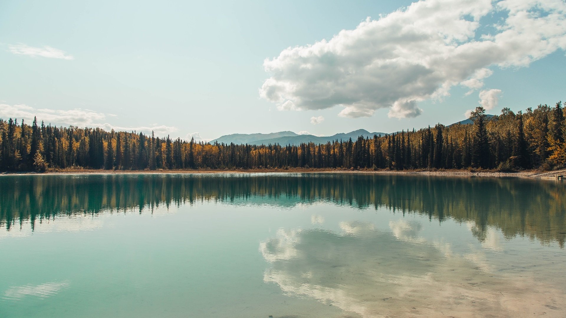 唯一性的交汇，爱尔兰碾压式胜利与奥亚尔萨瓦尔的F1争冠传奇