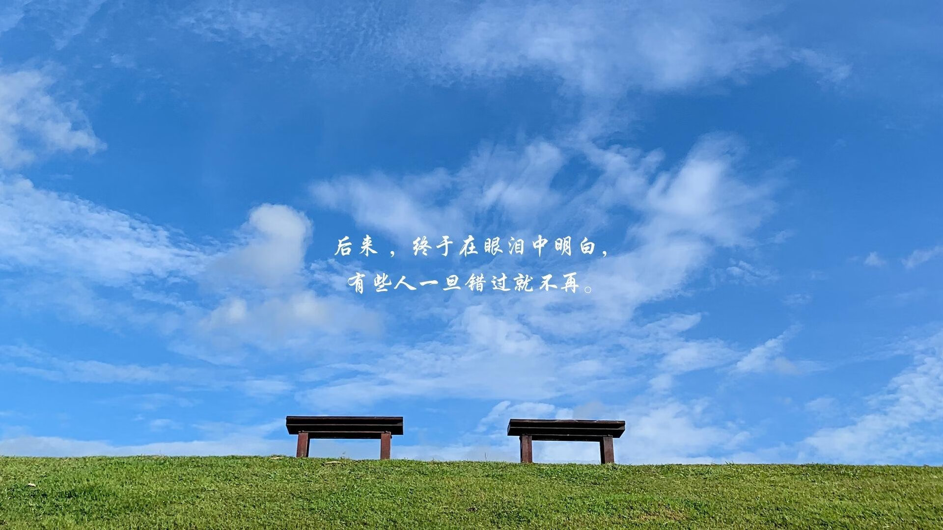 新王登基还是体系胜利？萨内催化高卢雄鸡闪电战突尼斯