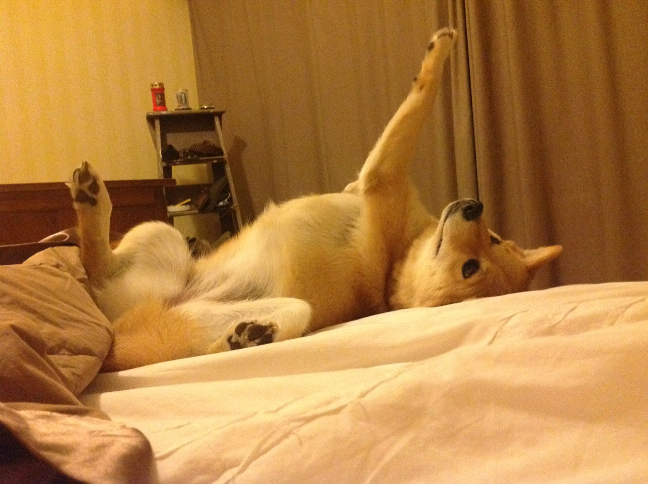 魔力鸟的智利奇兵，一场未爆发的焦点战，与逆转背后的人性寓言