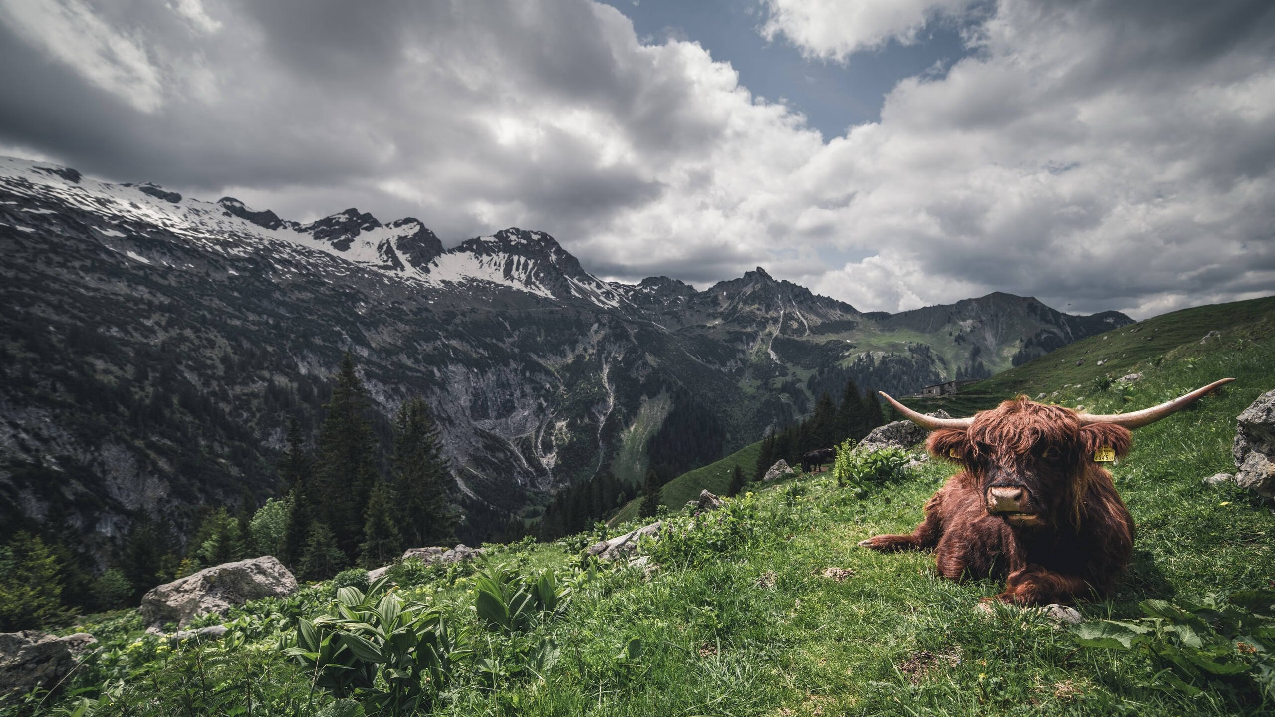 英格拉姆单节20分点燃全场，掘金团队篮球力压上海获季前赛开门红
