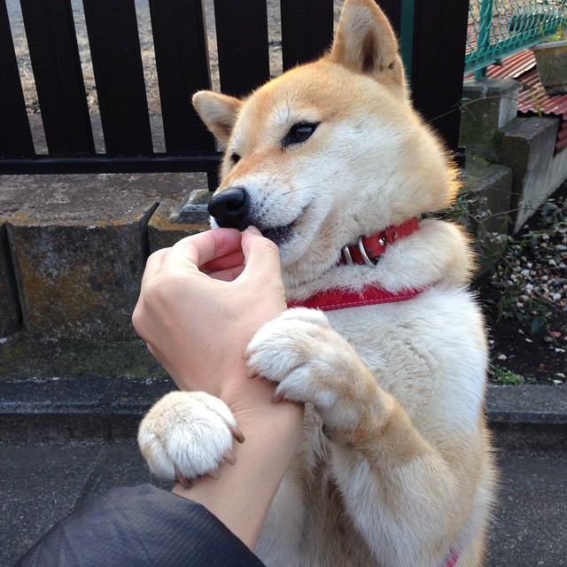 恩佐一剑封喉!皇马铁血意志于智利淬火之战中铸就