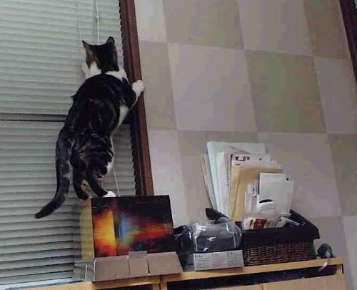 攻防全面窒息！雷霆主场狂胜山西，浓眉诠释完美内线教科书