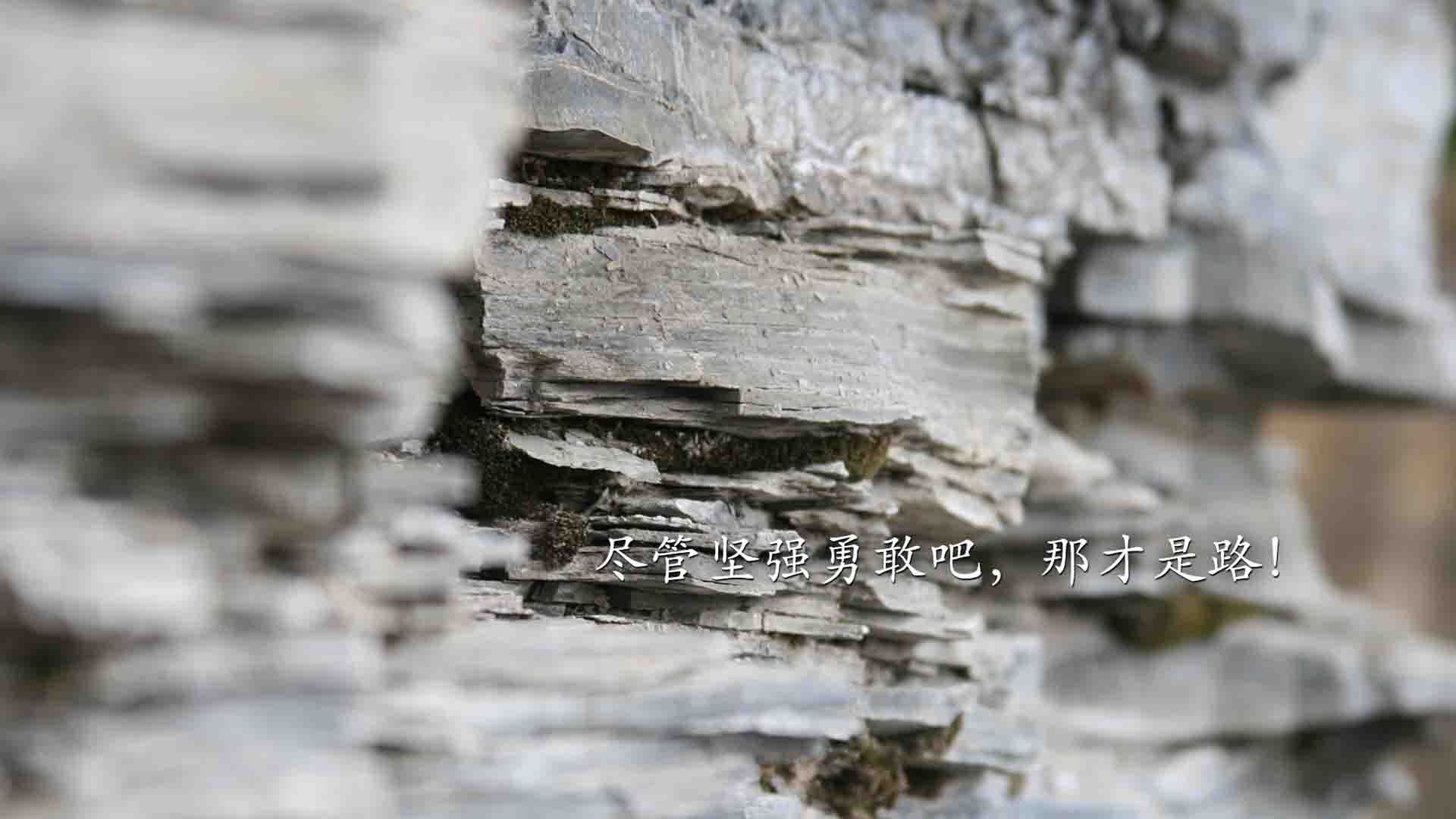 西亚卡姆冠军级表现激发灵感，虚拟赛场浙江队以数据模型击溃雄鹿